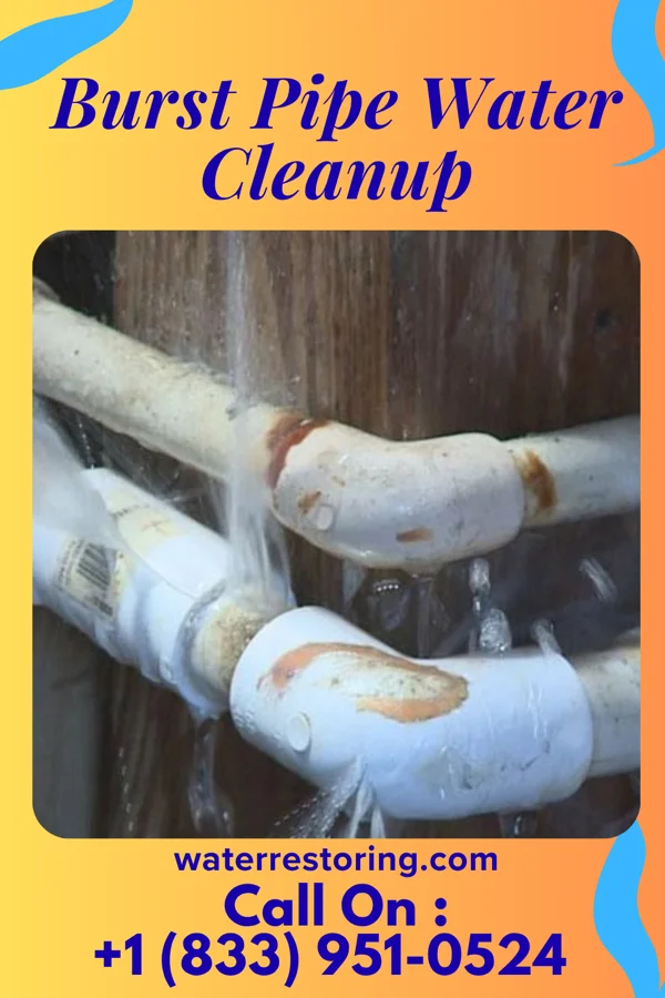 Burst Pipe Water Cleanup in Orin, WY