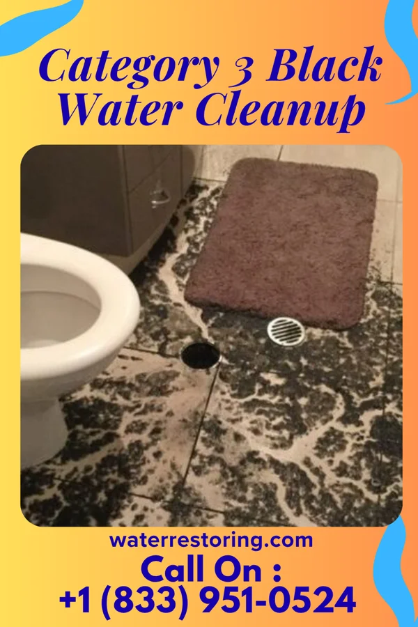 Category 3 Black Water Cleanup in Orin, WY